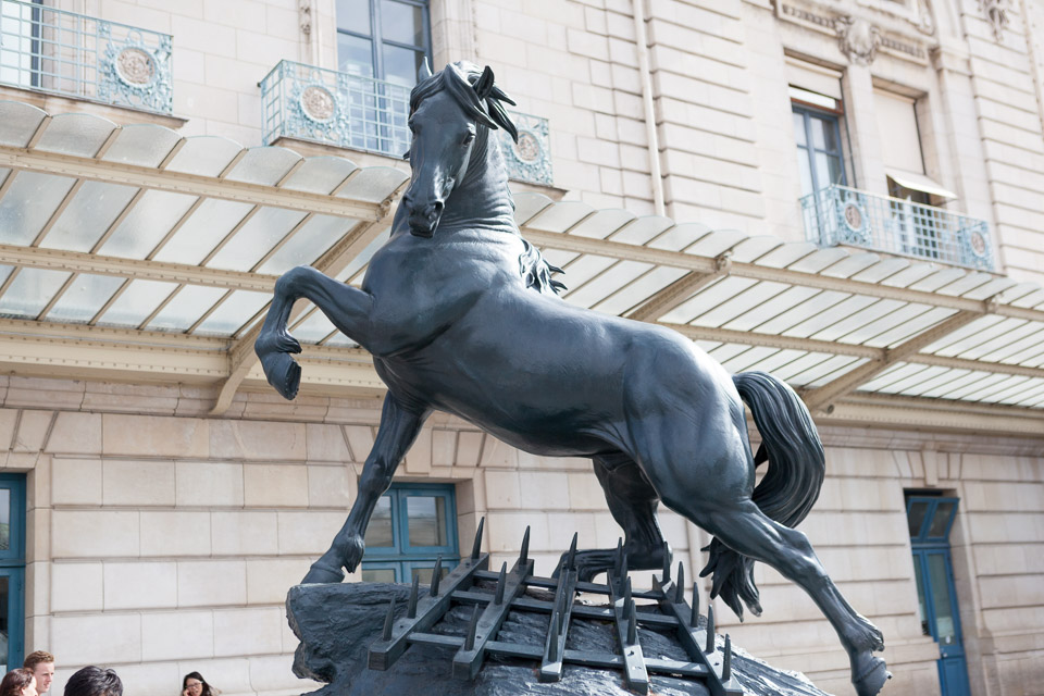 Paris-2015-IMG_8878.jpg
