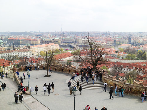 IMG_0759.jpg IMG_0759.jpg