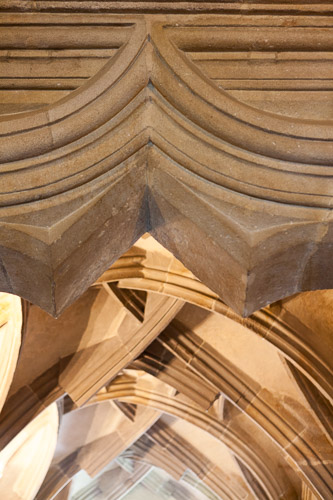 IMG_3838.jpg IMG_3838.jpg