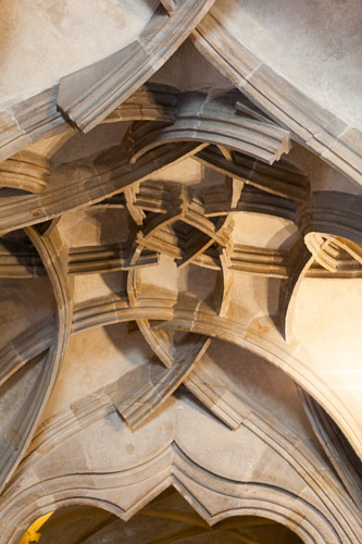 IMG_3839.jpg IMG_3839.jpg