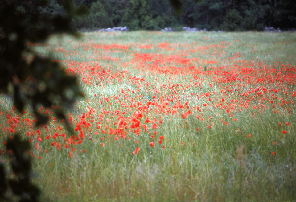 ardeche-199091-062_673406497_o.jpg