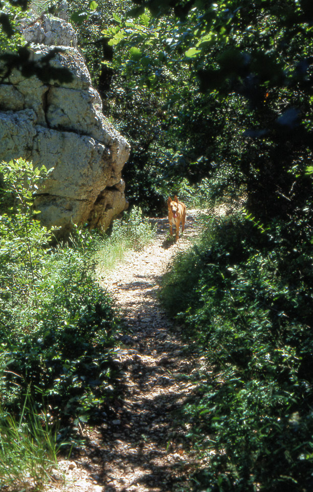 ardeche-199091-126_675921802_o.jpg