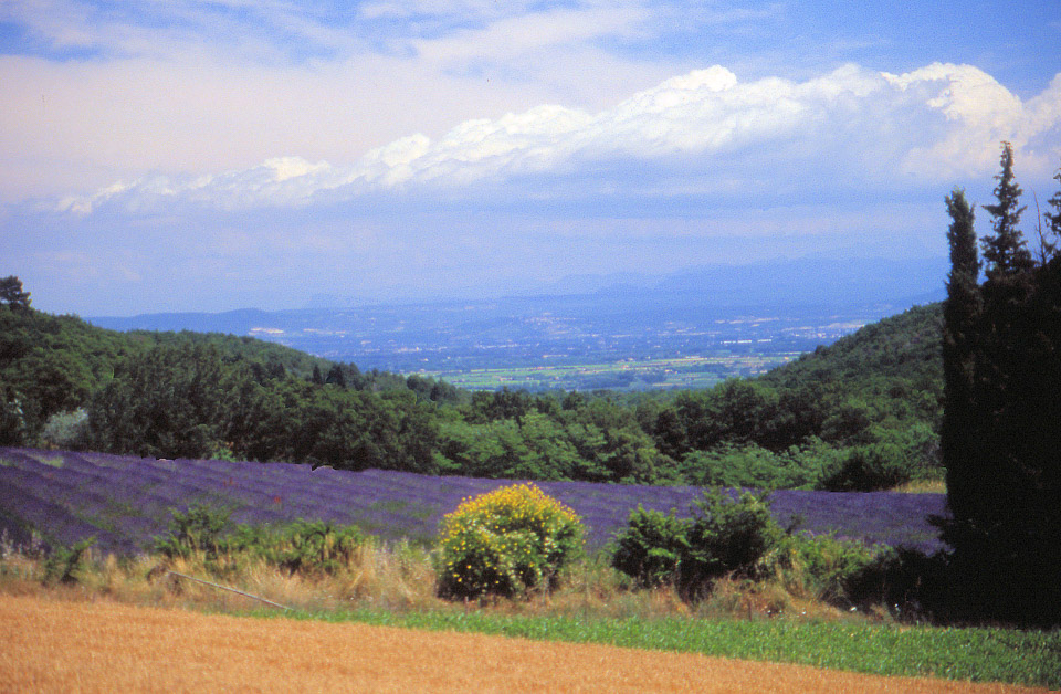ardeche-199091-142_676342018_o.jpg