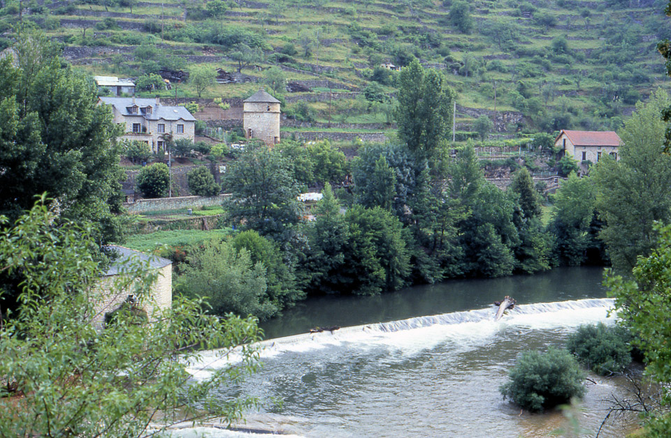 tarn-03_1151724977_o.jpg