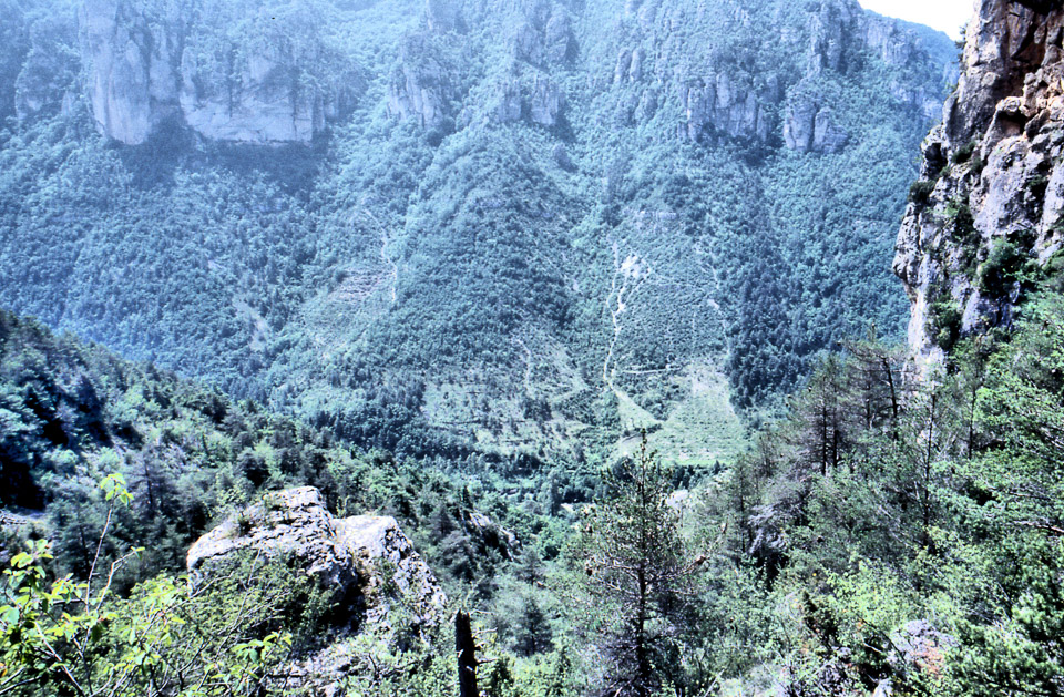 tarn-09_1151847707_o.jpg