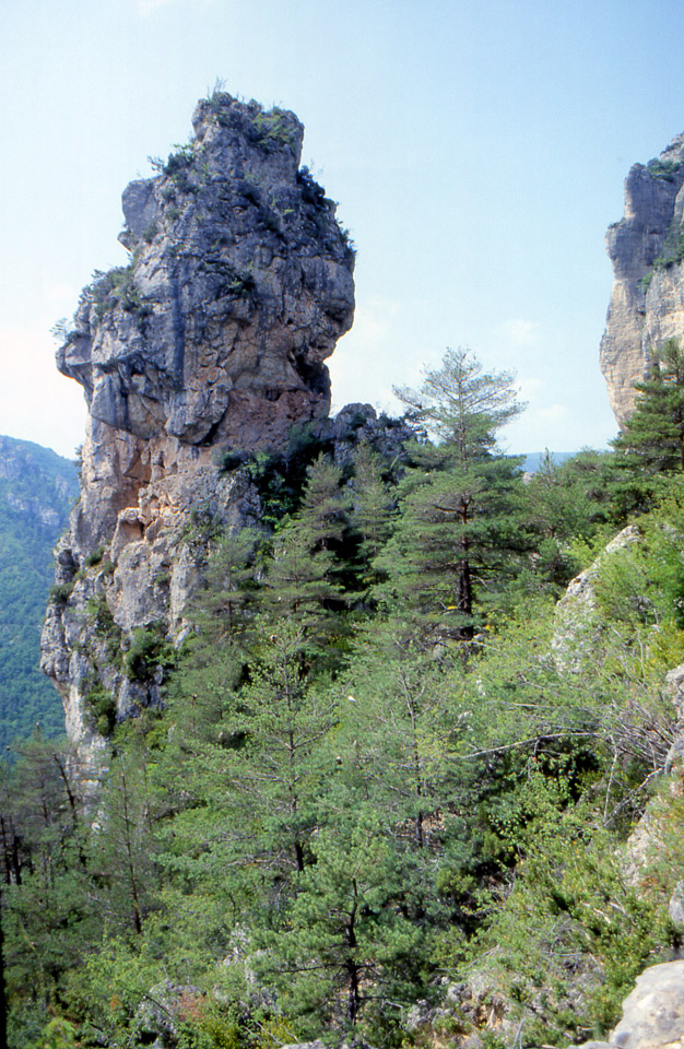 tarn-10_1151868465_o.jpg