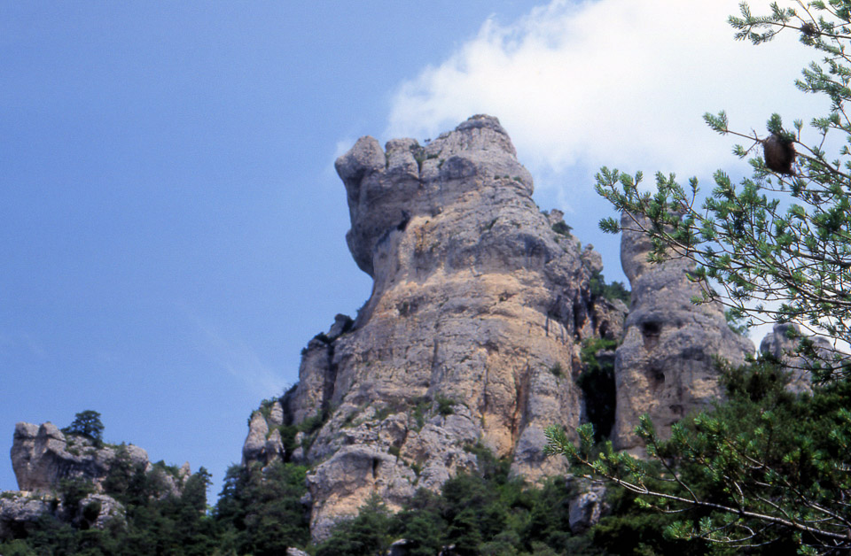 tarn-12_1152748626_o.jpg