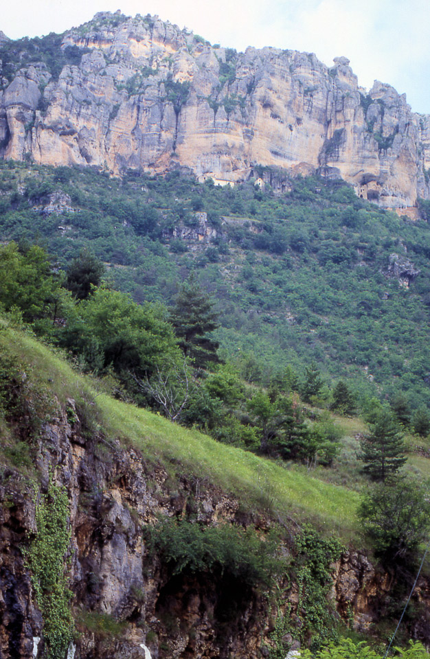 tarn-30_825819652_o.jpg