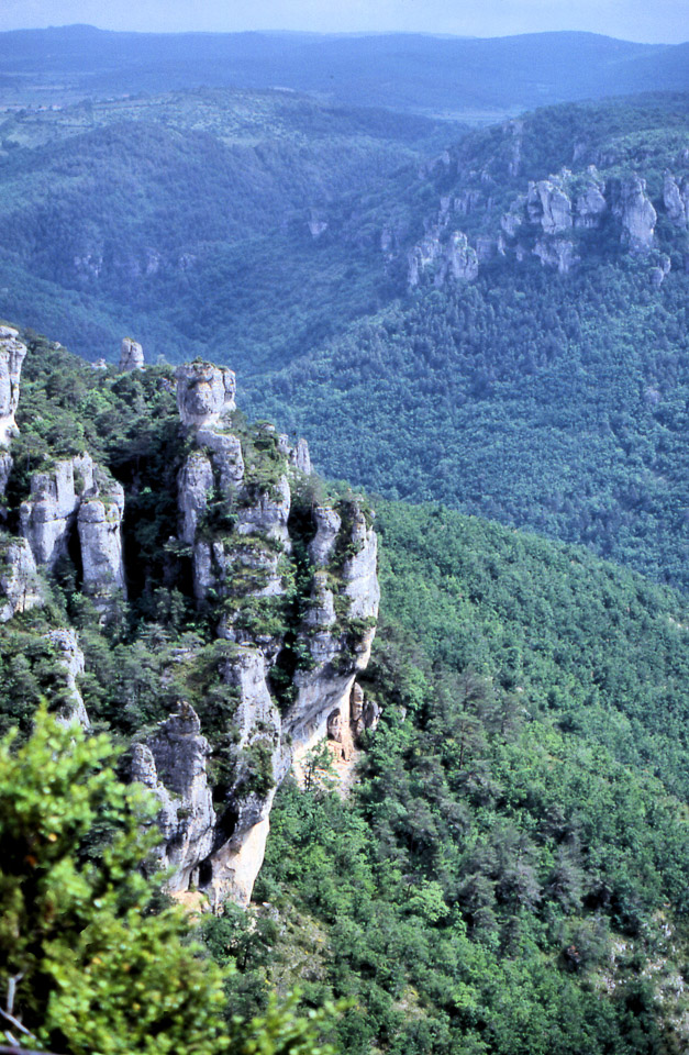 tarn-39_825975630_o.jpg