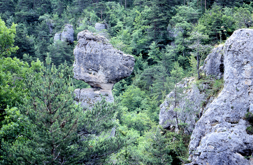 tarn-46_826114574_o.jpg