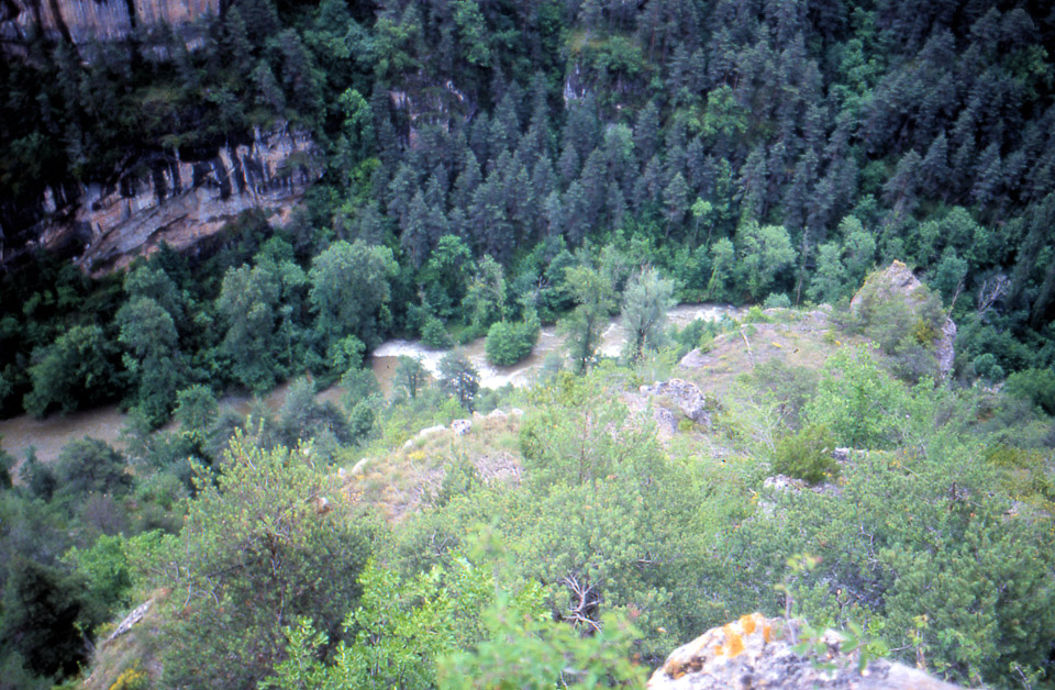 tarn-48_826142564_o.jpg