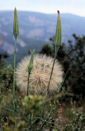 ardeche-199091-005_673003896_o.jpg