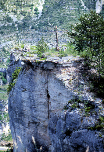 tarn-01_823083136_o.jpg