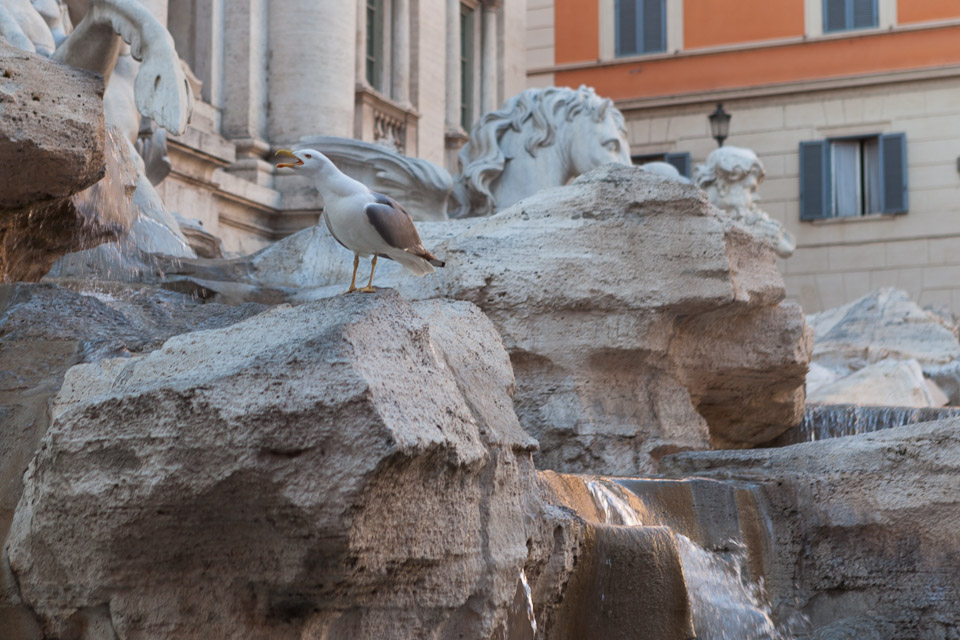 Rome_Amalfi_Coast_IMG_5418.jpg