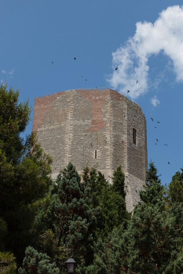 BTS-Tuscany-2010---IMG_0183.jpg