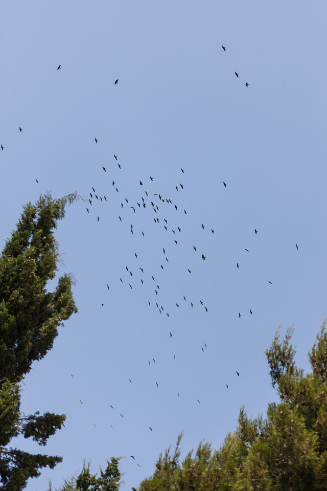 BTS-Tuscany-2010---IMG_0184.jpg