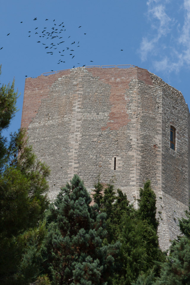 BTS-Tuscany-2010---IMG_0186.jpg