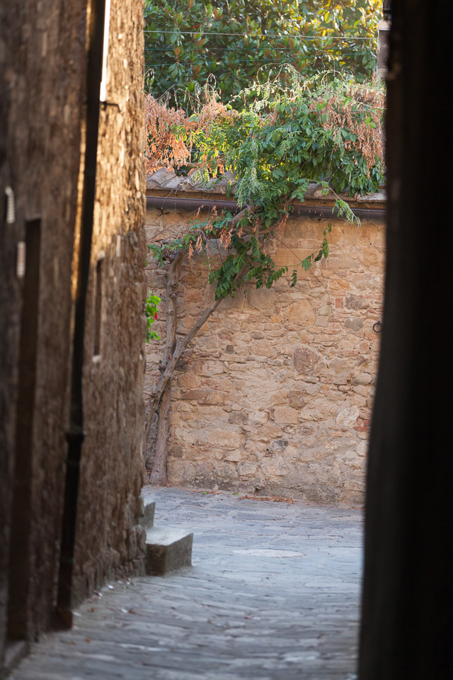 San-Quirico---IMG_8331.jpg