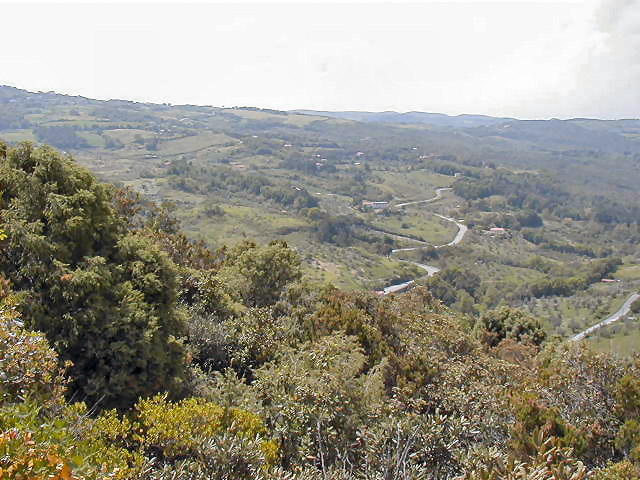 p5040019_305139342_o.jpg