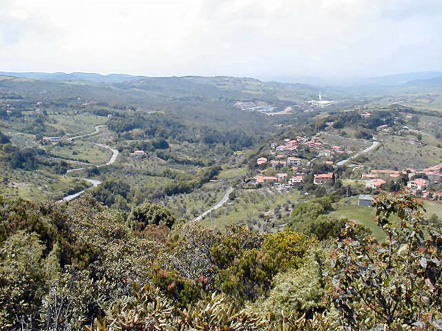 p5040020_305139575_o.jpg