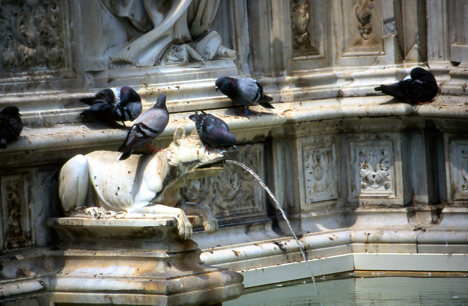 siena-italy-scan-03_453615422_o.jpg