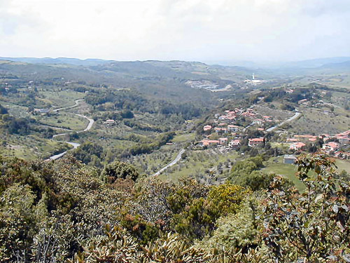 p5040020_305139575_o.jpg