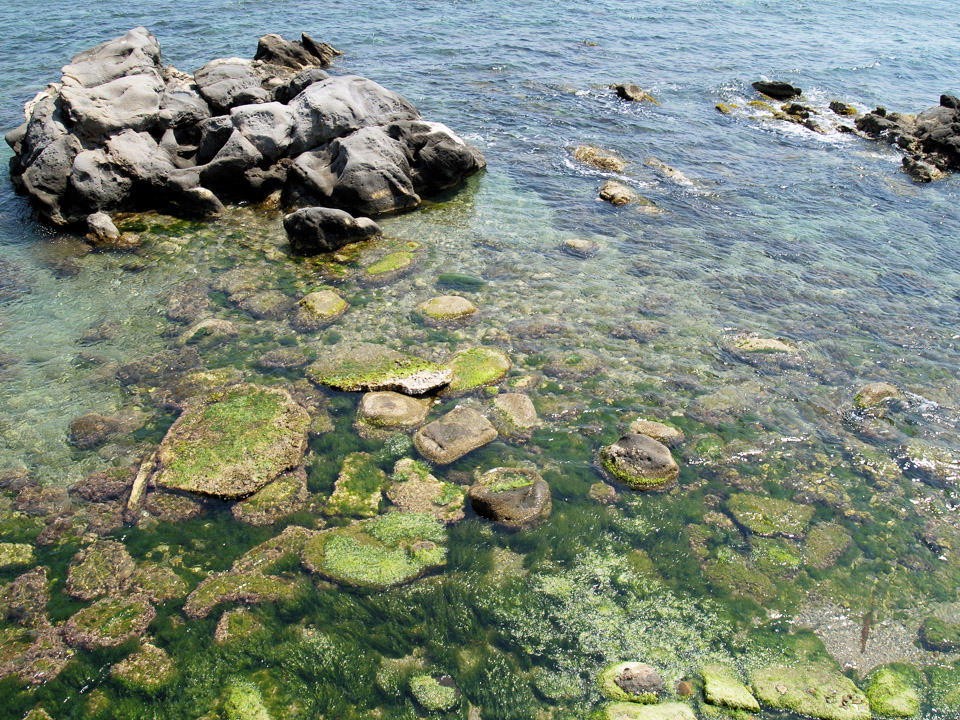 Sicily-May-2009---107.jpg