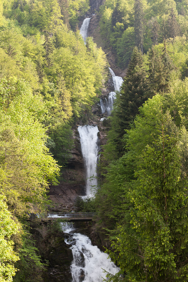 IMG_6210.jpg