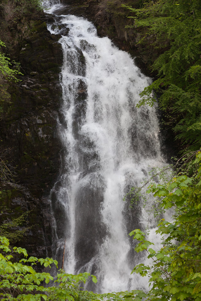 IMG_6211.jpg