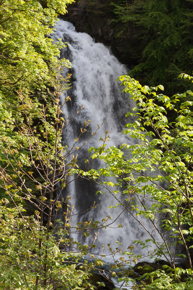 IMG_6215.jpg