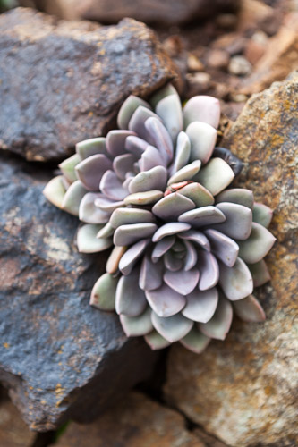 IMG_0953.jpg IMG_0953.jpg