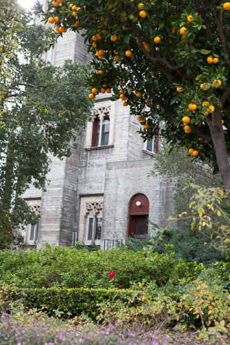 IMG_0954.jpg IMG_0954.jpg