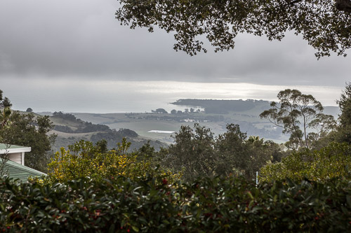 IMG_0955.jpg IMG_0955.jpg