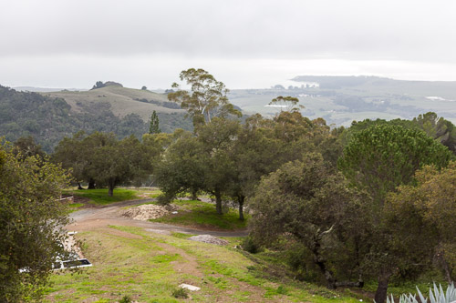 IMG_0956.jpg IMG_0956.jpg