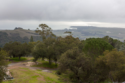 IMG_0957.jpg IMG_0957.jpg