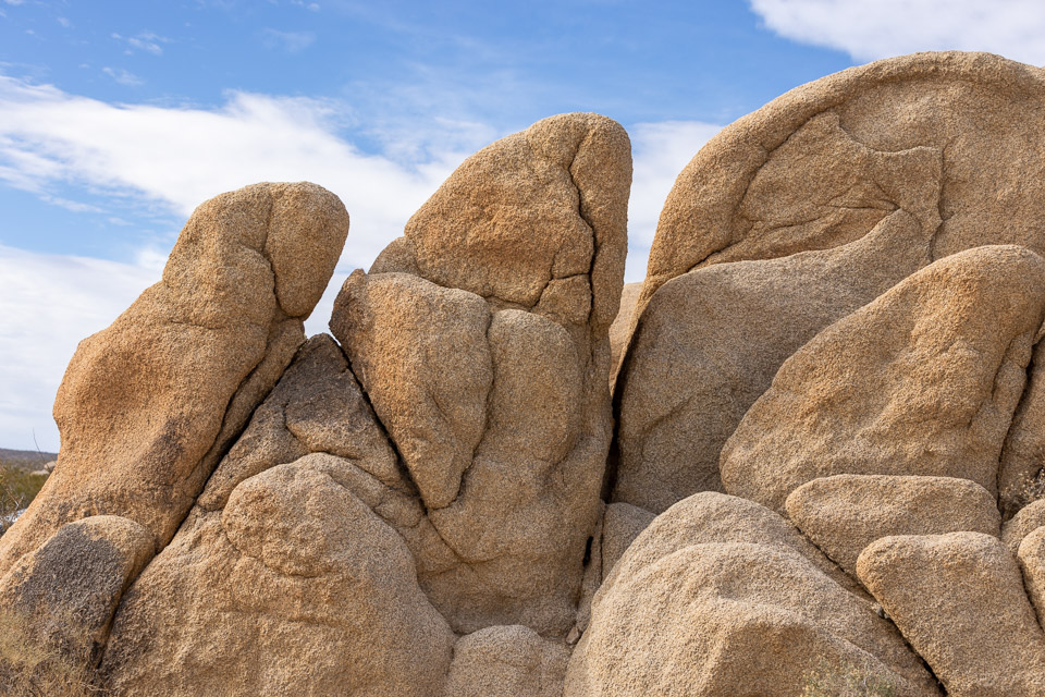 Joshua-Tree---9X5A6342.jpg