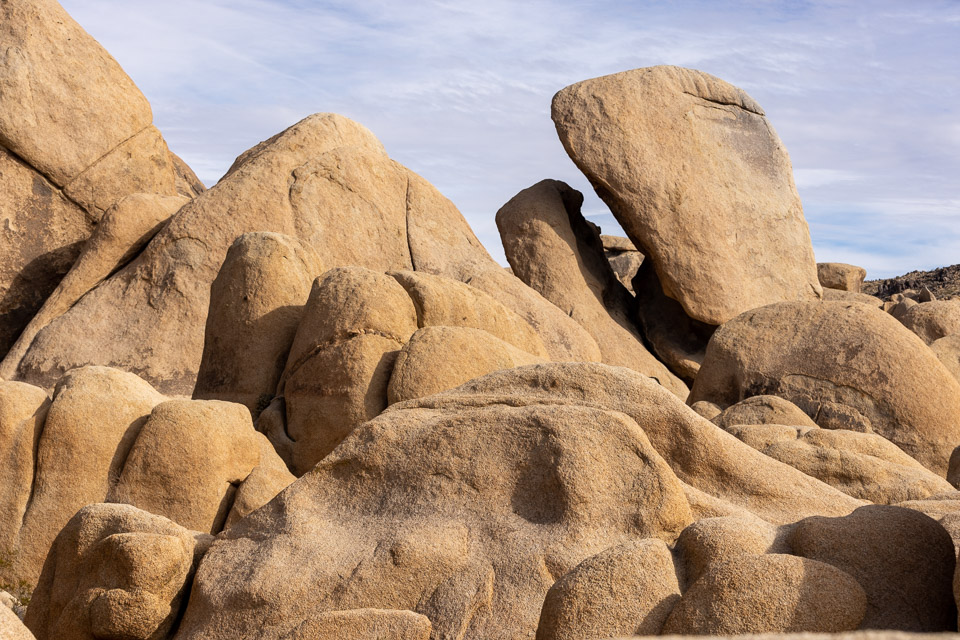 Joshua-Tree---9X5A6347.jpg