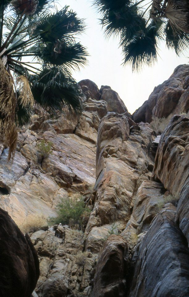 palm-springs--joshua-tree-np-scan-16_452216335_o.jpg