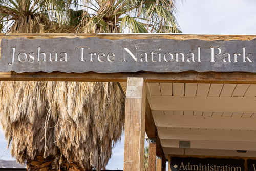 Joshua-Tree---9X5A6334.jpg Joshua-Tree---9X5A6334.jpg
