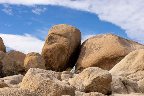 Joshua-Tree---9X5A6345.jpg Joshua-Tree---9X5A6345.jpg