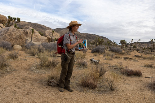 Joshua-Tree---9X5A6380.jpg Joshua-Tree---9X5A6380.jpg