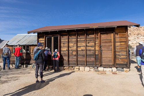Joshua-Tree---9X5A6384.jpg Joshua-Tree---9X5A6384.jpg