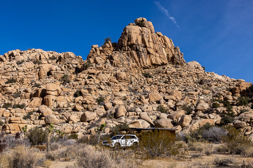 Joshua-Tree---9X5A6388.jpg Joshua-Tree---9X5A6388.jpg