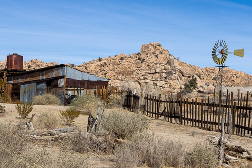 Joshua-Tree---9X5A6391.jpg Joshua-Tree---9X5A6391.jpg