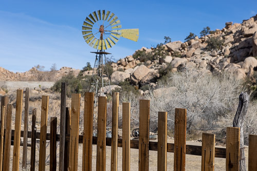 Joshua-Tree---9X5A6393.jpg Joshua-Tree---9X5A6393.jpg
