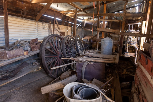 Joshua-Tree---9X5A6395.jpg Joshua-Tree---9X5A6395.jpg
