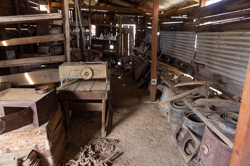 Joshua-Tree---9X5A6396.jpg Joshua-Tree---9X5A6396.jpg