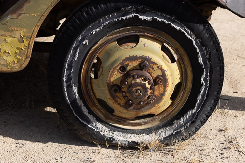 Joshua-Tree---9X5A6399.jpg Joshua-Tree---9X5A6399.jpg