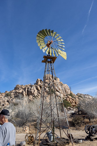 Joshua-Tree---9X5A6401.jpg Joshua-Tree---9X5A6401.jpg