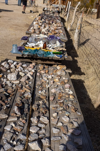 Joshua-Tree---9X5A6406.jpg Joshua-Tree---9X5A6406.jpg